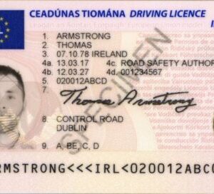 Buy Ireland Driver License