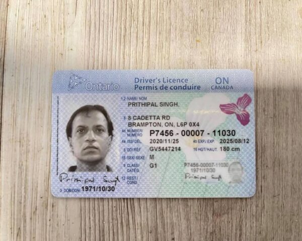 Canada Driver's Licenses